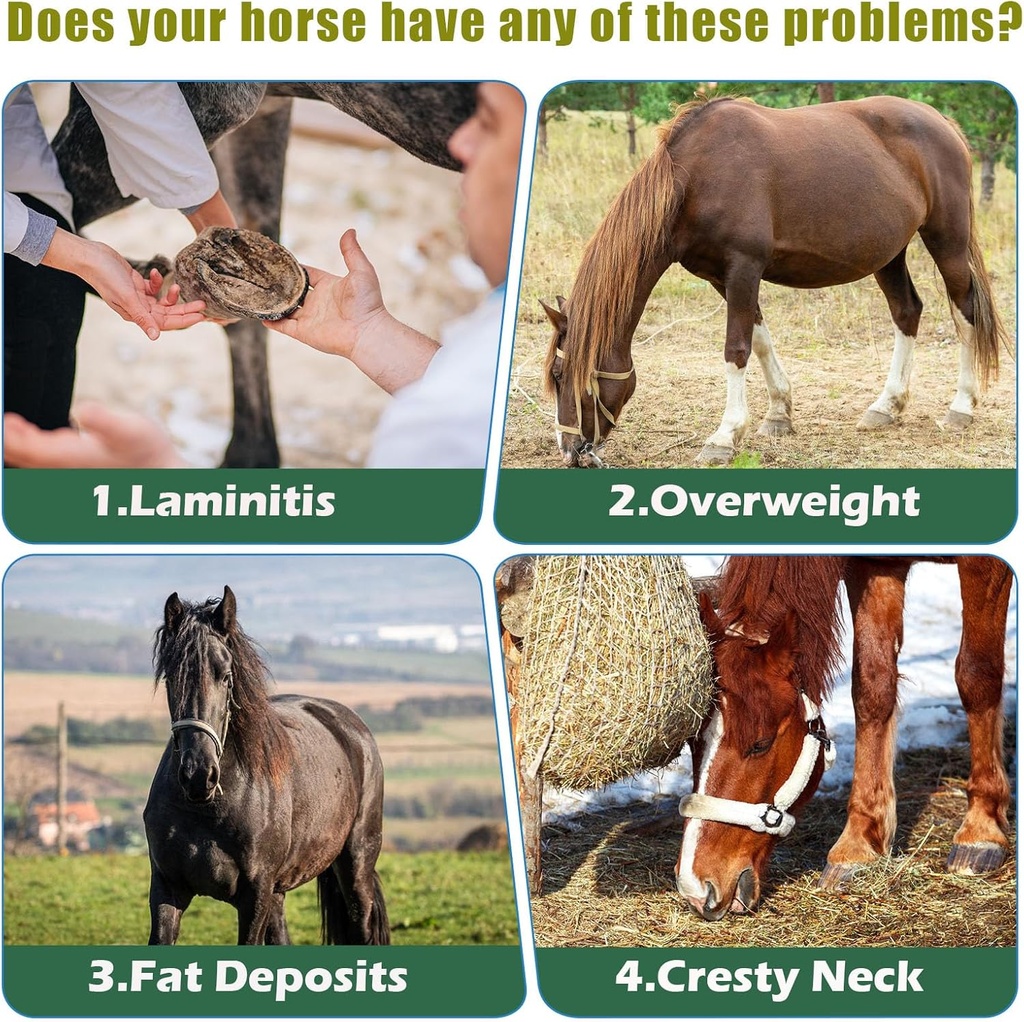 insulin-resistance-supplement-for-horses-5.jpg