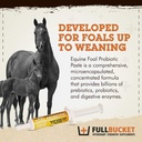 fullbucket-health-foal-probiotic-paste-2.jpg