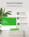 vitalbeautie-green-tea-probiotics-plant--2.jpg