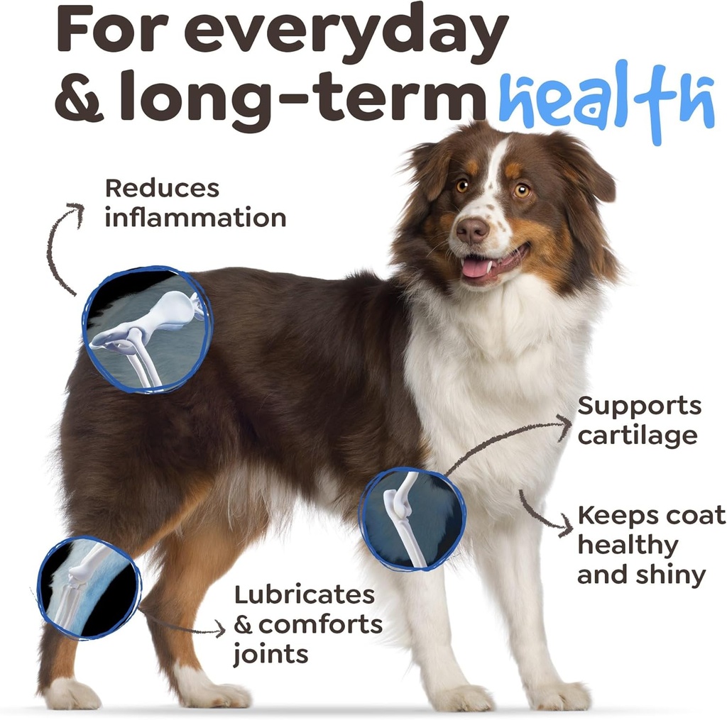 15-in-1-dog-multivitamin-dog-vitamins-an-3.jpg