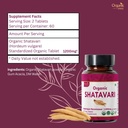 shatavari-120-tablets-asparagus-racemosu-5.jpg