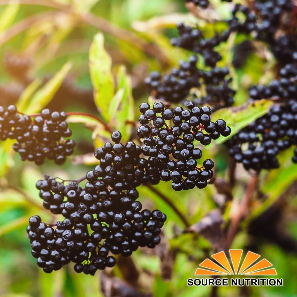 usda-organic-dried-elderberries---whole--5.jpg