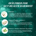 fiber-supplement-colon-cleanse-prebiotic-5.jpg