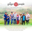 ginger-soother-elderberry-gingerade-immu-5.jpg