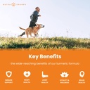 nutrachamps-elderberry-and-turmeric-curc-5.jpg