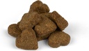 gnc-pets-ultra-skin-coat-soft-chews-chic-4.jpg