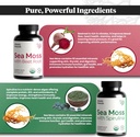 atlantic-naturals-sea-moss-superfood-bun-2.jpg