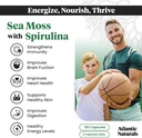 atlantic-naturals-sea-moss-superfood-bun-4.jpg