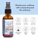 organic-elderberry-mist-sambucus-nigra-e-6.jpg