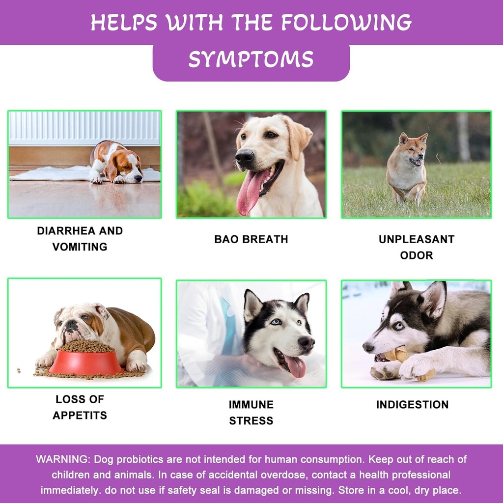 probiotics-for-dogsdog-probiotics-and-di-4.jpg