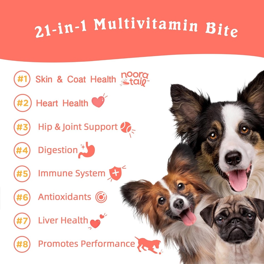 21-in-1-dog-vitamins-and-supplements-wit-2.jpg
