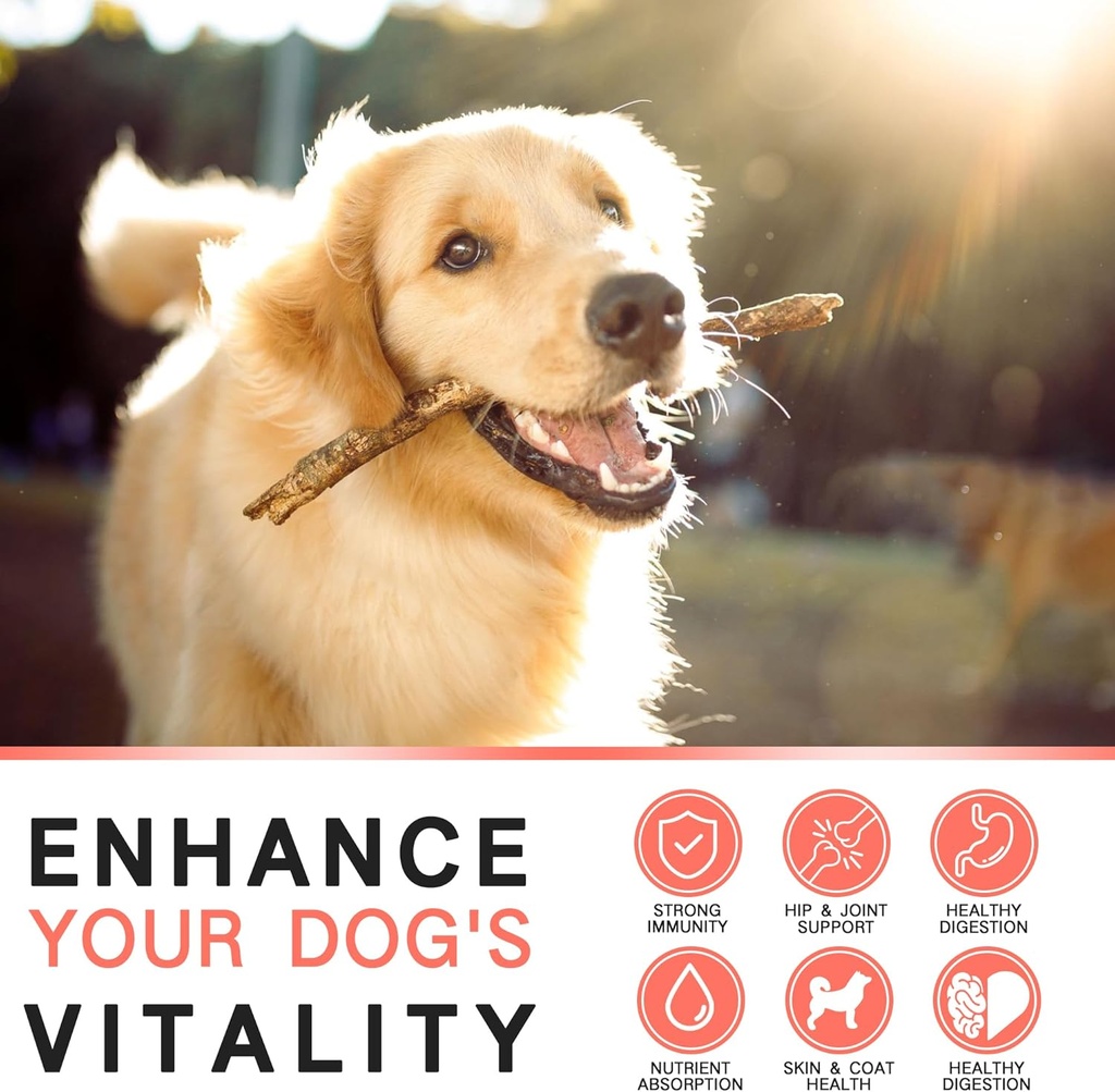 21-in-1-dog-vitamins-and-supplements-wit-5.jpg
