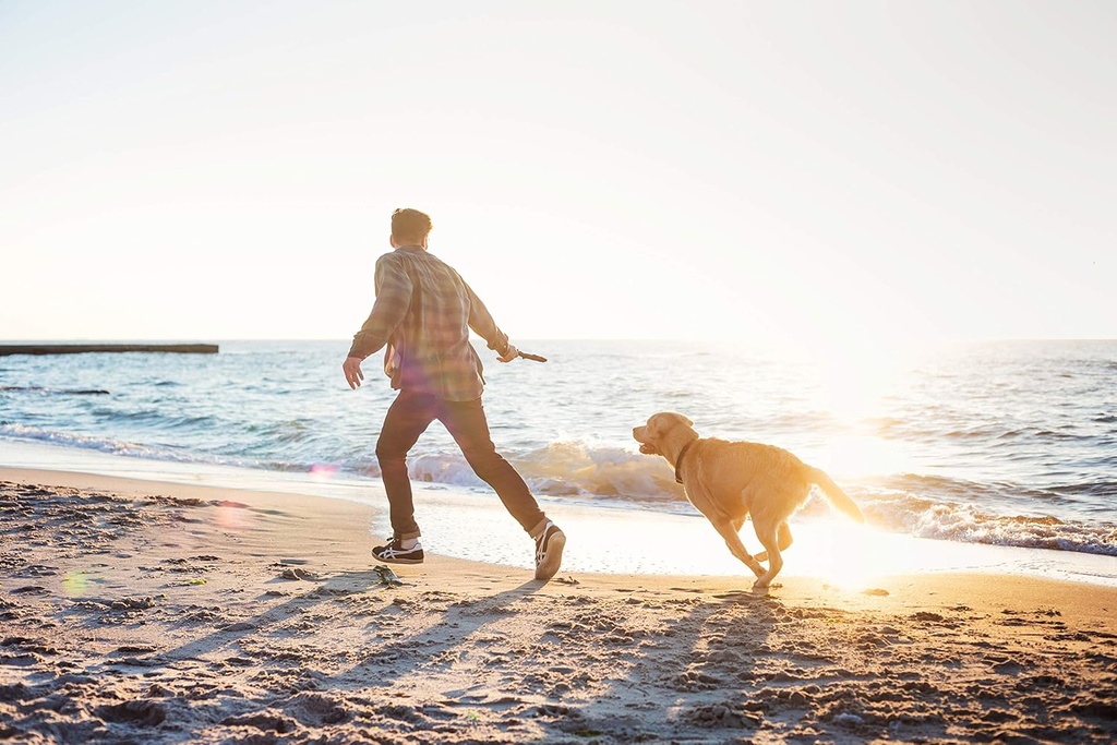 aloha-medicinals-k9-immunity-plus-immune-4.jpg
