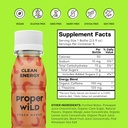 proper-wild-vegan-energy-shots-with-l-th-2.jpg