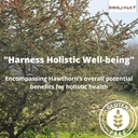 hawthorn-berry-liquid-supplement-85oz-ca-6.jpg