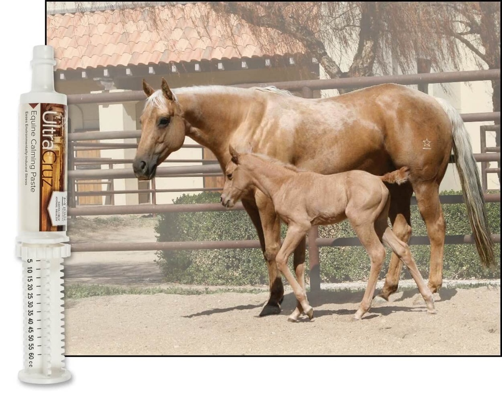 ultracruz-sc-516023-equine-calming-suppl-2.jpg