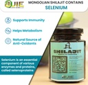 authentic-mongolian-shilajit-from-altai--2.jpg