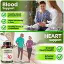 heart-health-blood-pressure-support-supp-2.jpg