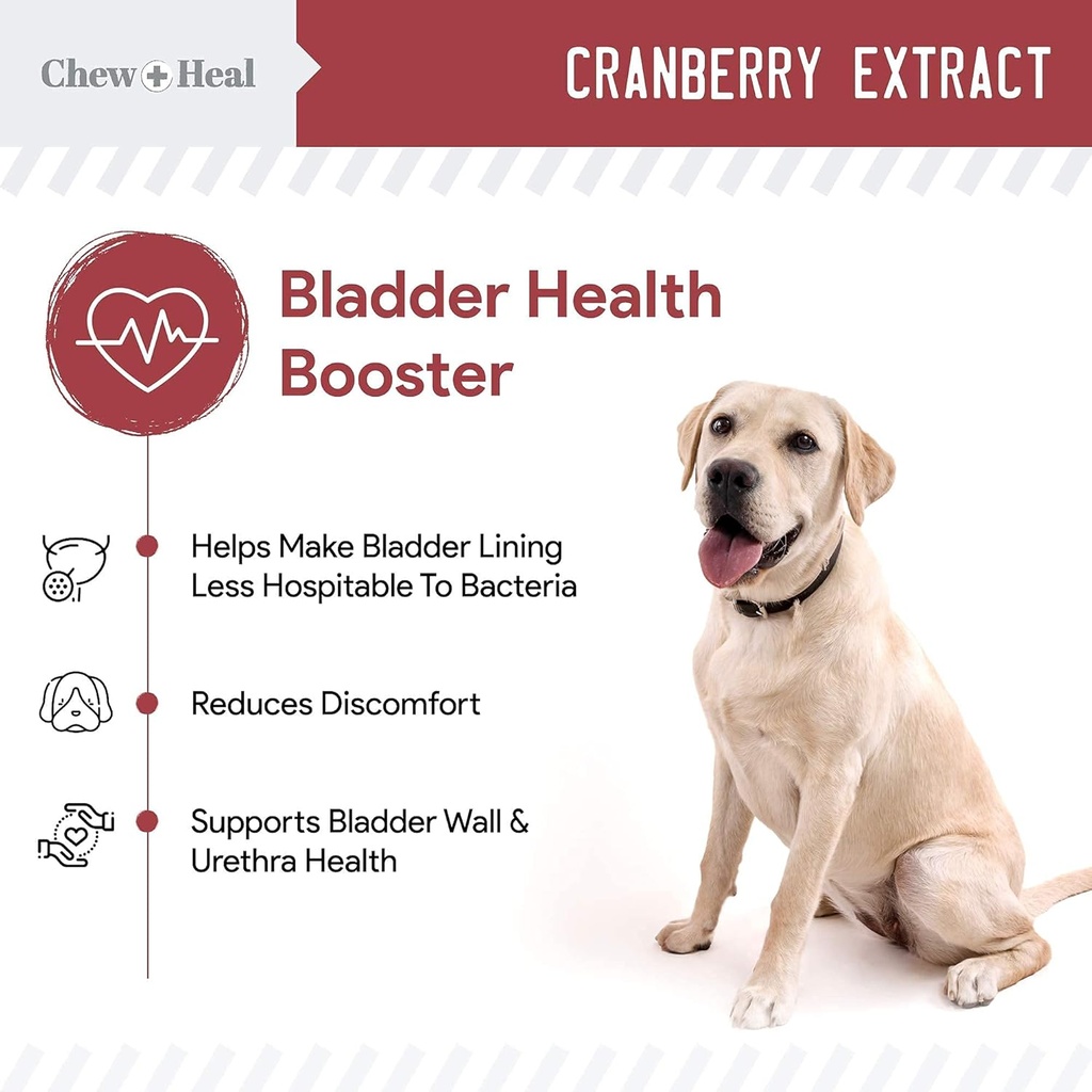 digestive-enzymes-and-probiotics-and-cra-2.jpg