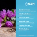 e2h-chlorophyll-liquid-drops-2-pack---4--5.jpg
