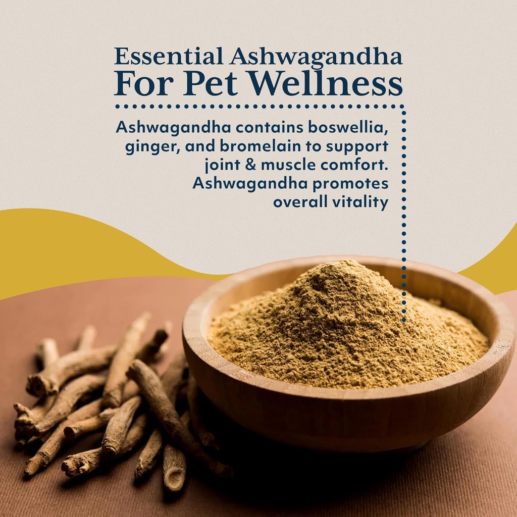 ayush-pet-ashwagandha-capsules-for-dogs--4.jpg