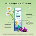 hylands-kids-cold-and-cough-nighttime-gr-3.jpg