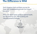 north-american-herb-and-spice-polar-powe-6.jpg