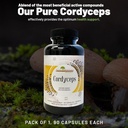 aloha-medicinals-pure-cordyceps-certifie-3.jpg