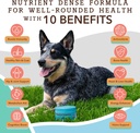 natural-dog-company-multivitamin-chews-c-4.jpg