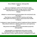 generic-maca-shilajit-cordyceps-ashwagan-4.jpg