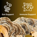 turkey-tail-mushroom-liquid-extract-tinc-4.jpg