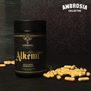 alkemi-nct---support-agent-with-berberin-3.jpg