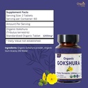 gokshura-120-tablets-tribulus-terrestris-4.jpg