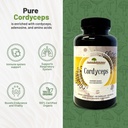 aloha-medicinals-pure-cordyceps-certifie-4.jpg