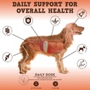 jackpup-dog-multivitamin-bark-buddies-do-2.jpg