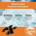 nutrex-hawaii-bioastin-hawaiian-astaxant-4.jpg