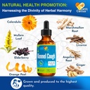 kennel-cough-treatment-for-dogs-cats-hel-3.jpg