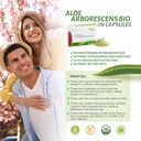 aloebeta-aloe-arborescens-natural-power--4.jpg