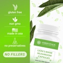 lions-mane-capsules---daily-mushroom-sup-3.jpg
