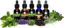 cedar-bear-liver-build-a-liquid-herbal-s-4.jpg
