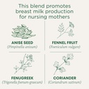 traditional-medicinals-tea-organic-mothe-4.jpg