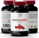 hawthorn-berry-extract---hawthorn-berrie-2.jpg