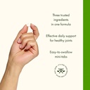swanson-mini-tabs-glucosamine-chondroiti-4.jpg