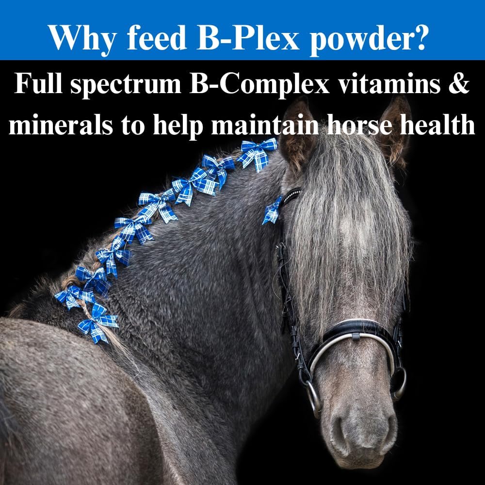 su-per-b-plex-powder-equine-vitamins---c-5.jpg