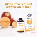 garden-of-life-baby-vitamin-c-drops-for--3.jpg