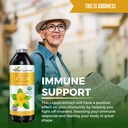cats-claw-liquid-extract---herbal-supple-6.jpg
