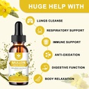 4-in-1-mullein-leaves-extract-drops-for--3.jpg