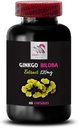 ginkgo-biloba-uses---ginkgo-biloba-extra-2.jpg