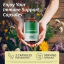 herbamama-goldenseal-root-capsules-700mg-2.jpg