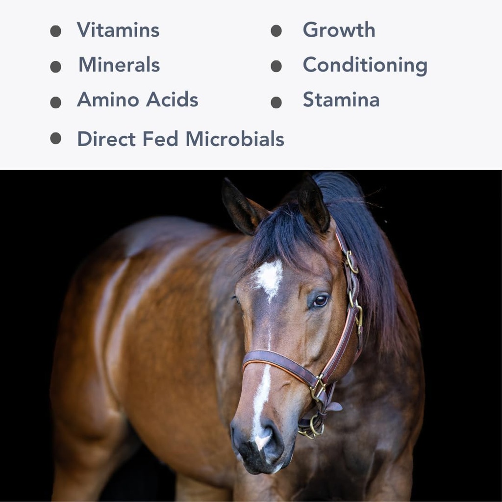mega-cell-50lb-bag-balanced-vitamin-mine-2.jpg